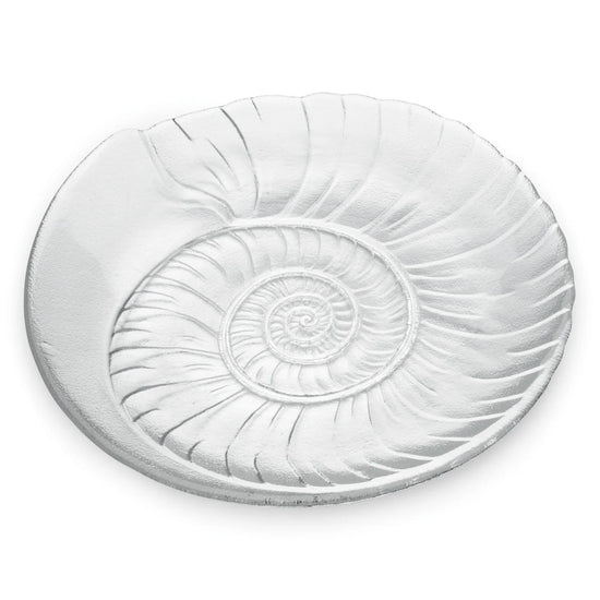 Shell Platter